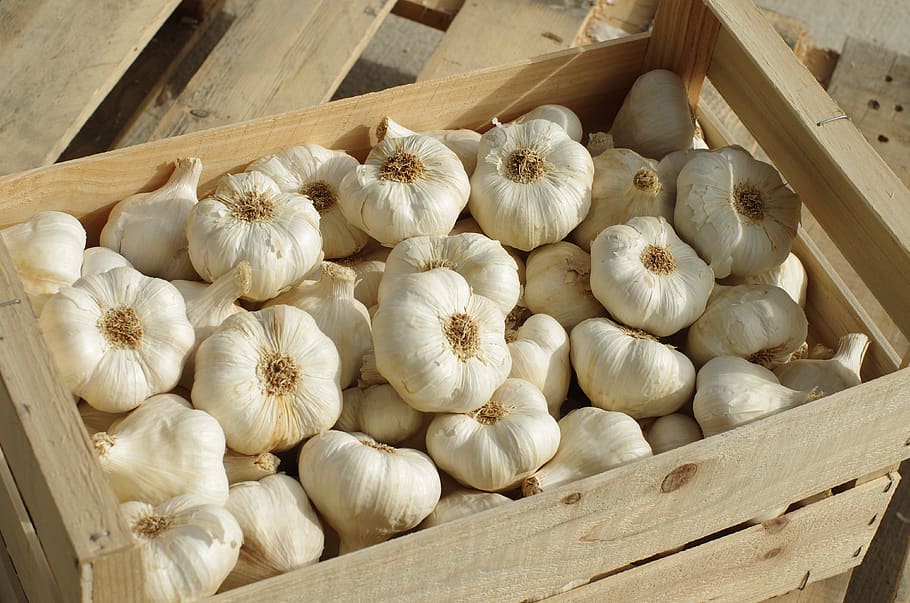garlic, garlic white, vegetable, food, garlic grown, culture, HD wallpaper