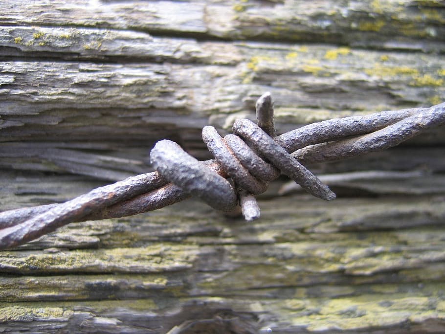 Barb, Wire, Rust, Wood, Fence, wooden, post, lichen, no people HD wallpaper