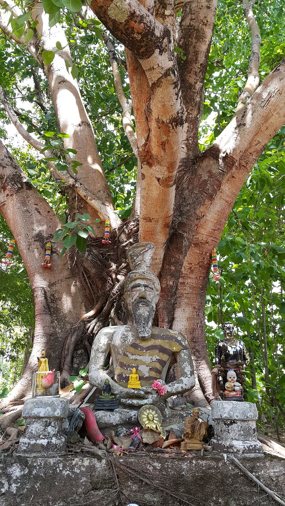 tree, recluse, priest, statue, image, holy thing, adoration HD wallpaper