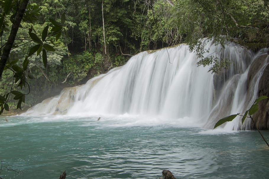 waterfalls, river, current, nature, chiapas-mexico, beauty in nature HD wallpaper