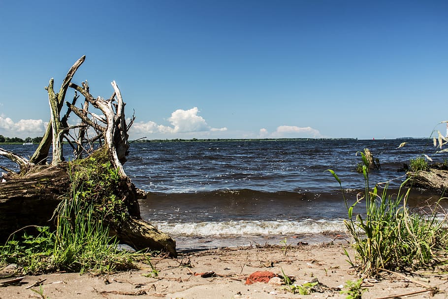 water, rest, lake, beach, tree, sky, the silence, relaxation HD wallpaper