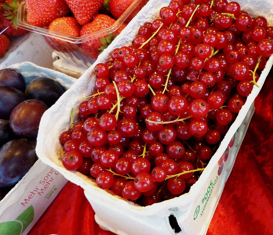 currants, berries, red currant, fruit, fruits, garden currant HD wallpaper