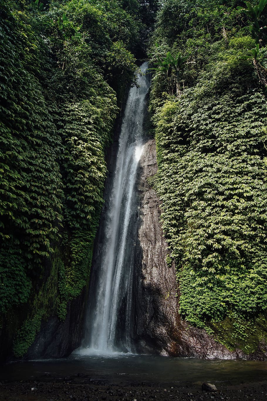 waterfalls, nature, forest, trees, foliage, green, mountain HD wallpaper