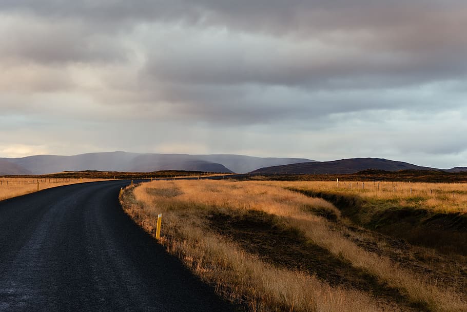 Autumn Road, black asphalt road near dried grasses, cloud, field HD wallpaper