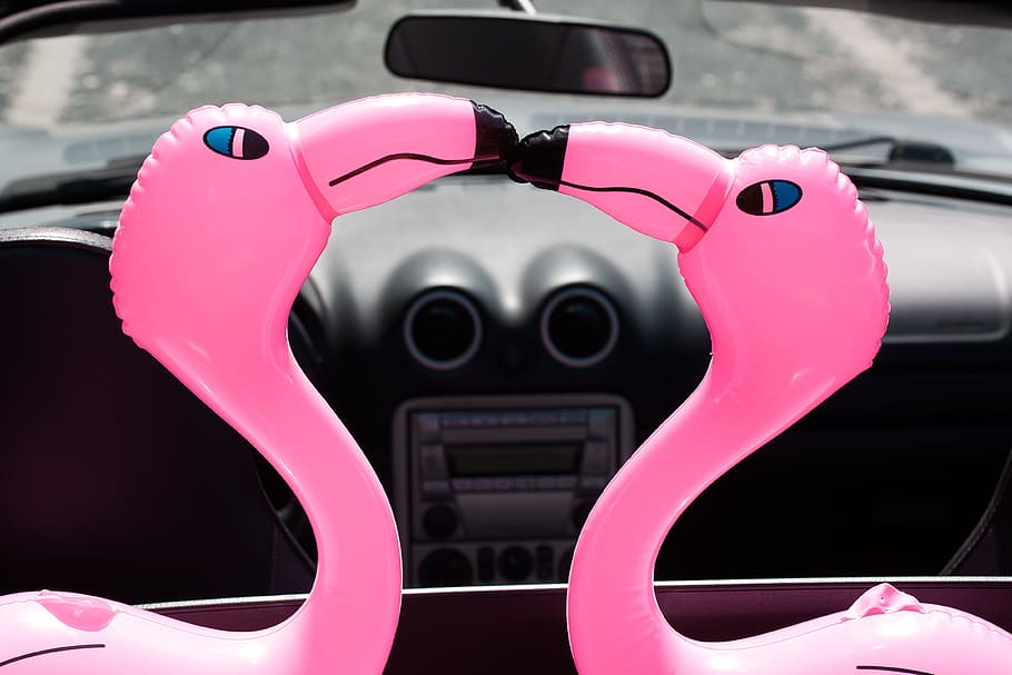 Flamingo, Beaks, Inflatable, Pink, romantic, lovers, heart HD wallpaper