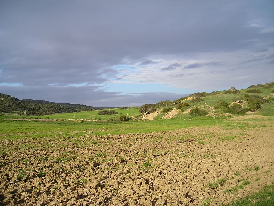 cyprus, landscape, meadow, hill, sky, cloud - sky, environment HD wallpaper