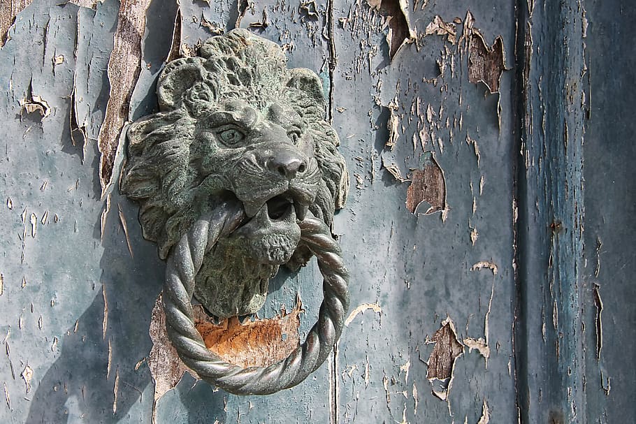doorknocker, lion head, old, representation, craft, wood - material HD wallpaper