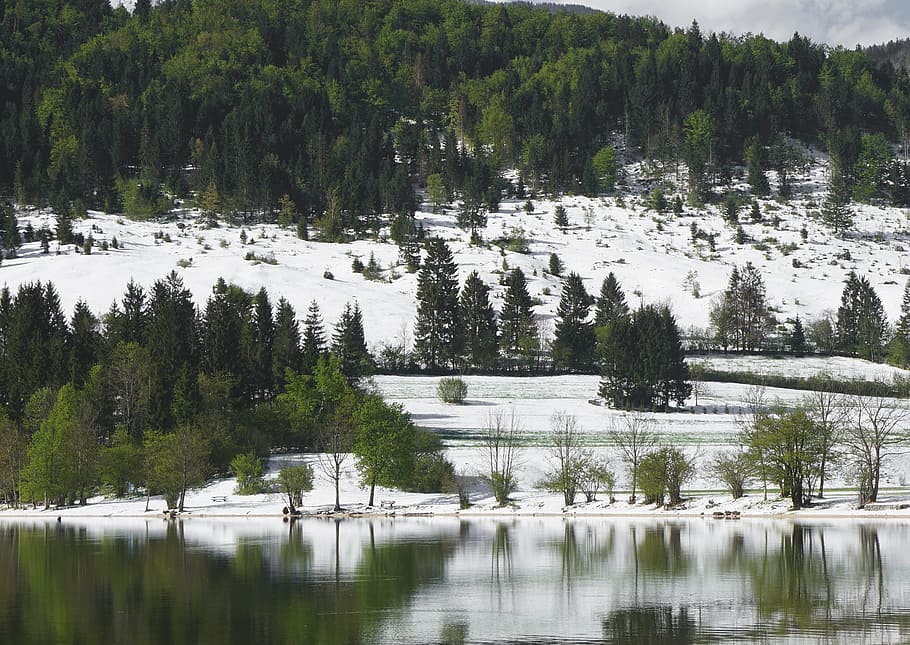 Nature, Lake, Spring, Forest, Green, summer, water, river, travel HD wallpaper