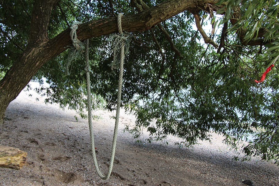 swing, rope, beach, detention, playground, children's playground HD wallpaper