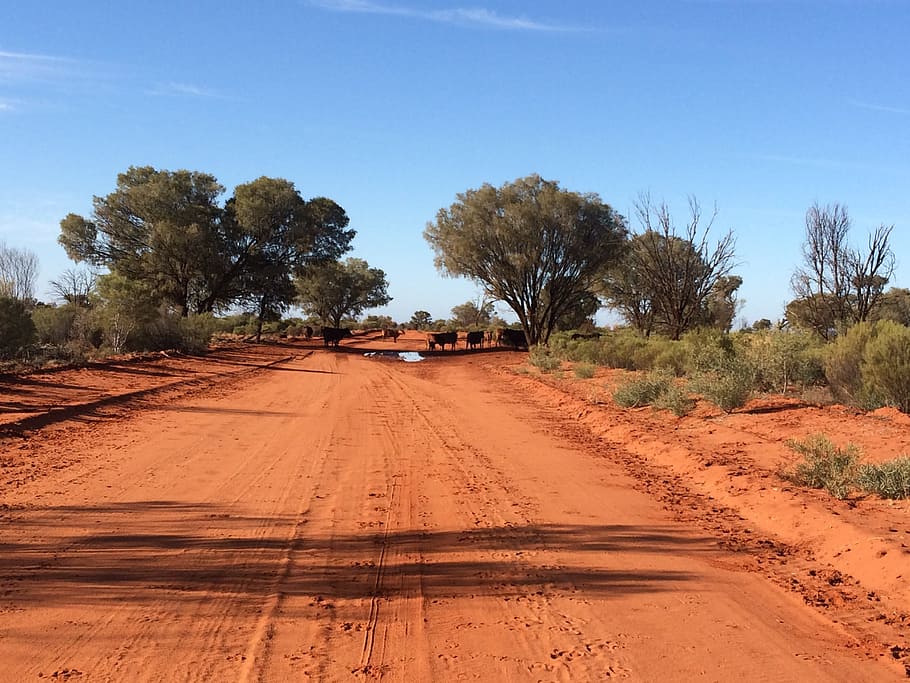 dirt road, Outback, Australia, Nature, red, australian outback