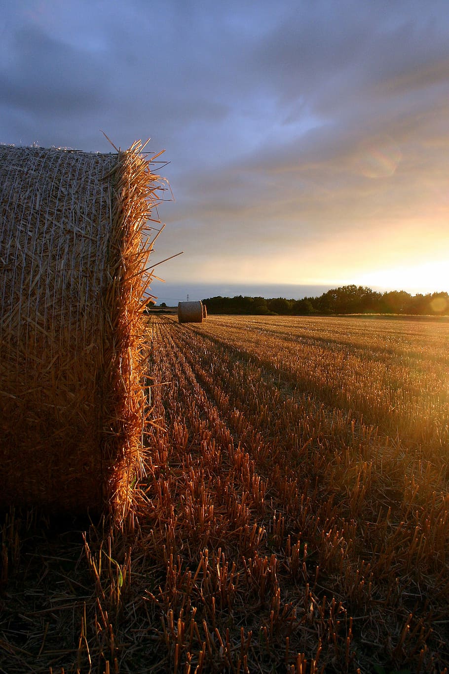 summer, straw, field, sunset, landscape, autumn, farm, agriculture HD wallpaper
