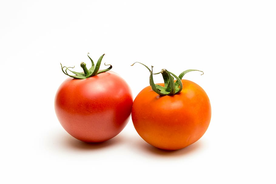 two red and orange tomatoes on white surface, rosa, vegetable HD wallpaper