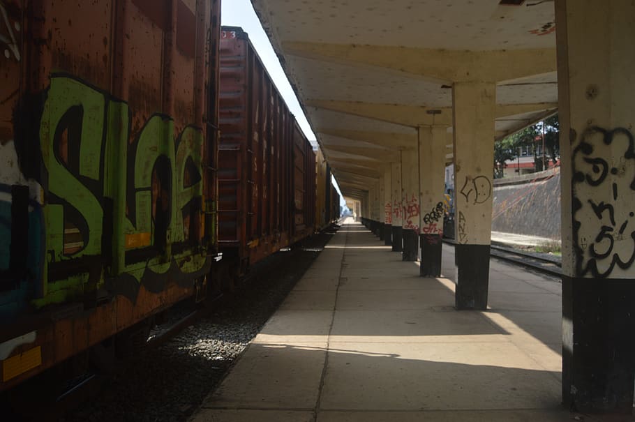 train, path, wagon, architecture, graffiti, built structure HD wallpaper