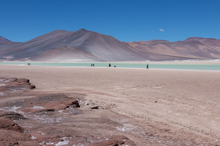 river in desert, chile, laguna, sand, lake, chilean, volcanic, HD wallpaper