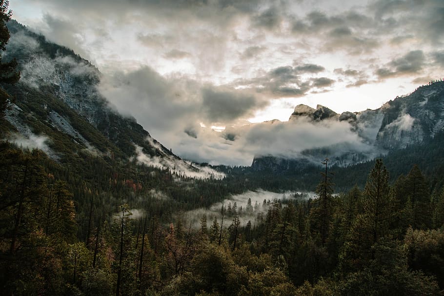 landscape photo of green trees, mountain covered with fogs surrounded with trees under white and gray cloudy skies at daytime HD wallpaper