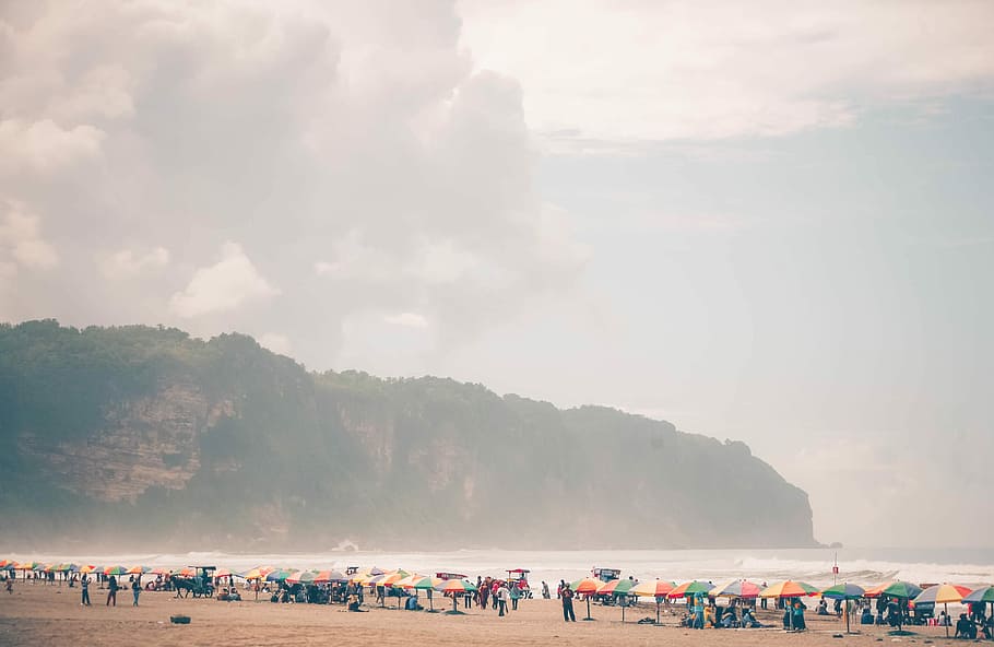 group of people on beach sand near umbrella, cliff, forest HD wallpaper
