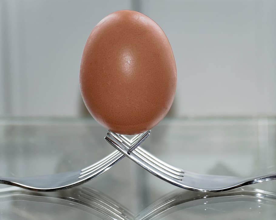 brown poultry egg on forks, balance, art, food, food and drink HD wallpaper