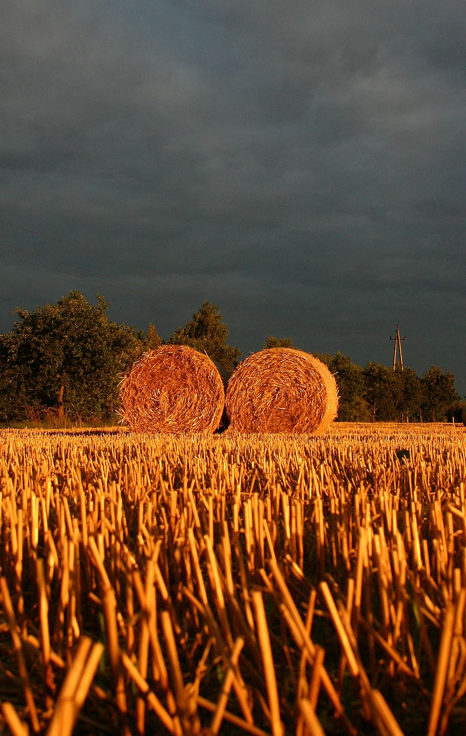 summer, straw, field, sunset, landscape, autumn, farm, agriculture HD wallpaper