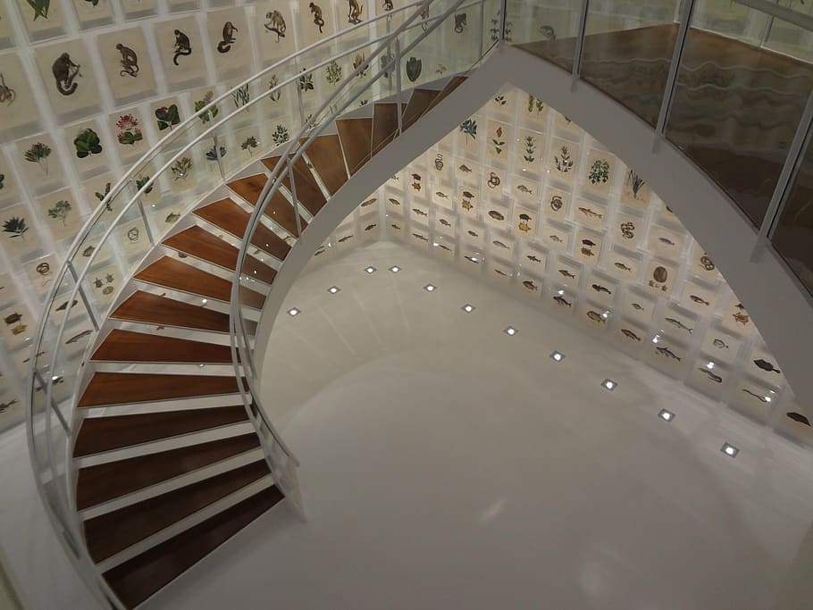 staircase, instituto itaú cultural, são paulo, brazilian collection, HD wallpaper