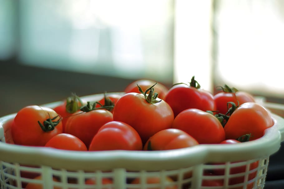 Tomatoes, Fruit, Salad, Food, red, healthy, diet, fresh, organic HD wallpaper
