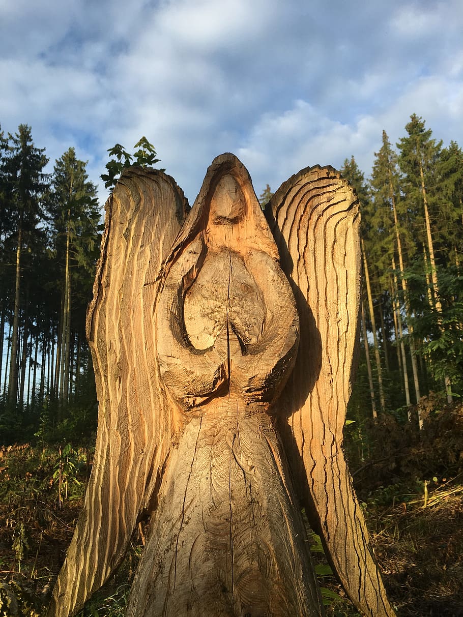 angel, carving, forest, tree, art and craft, plant, cloud - sky HD wallpaper
