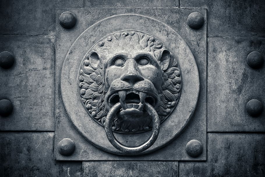 lion door knob, goal, portal, input, gate, historically, architecture, HD wallpaper