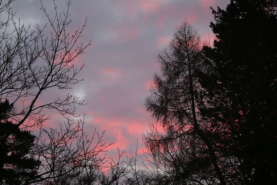 Nature, Sun, Sunset, Winter, Clouds, sky, evening sky, light HD wallpaper