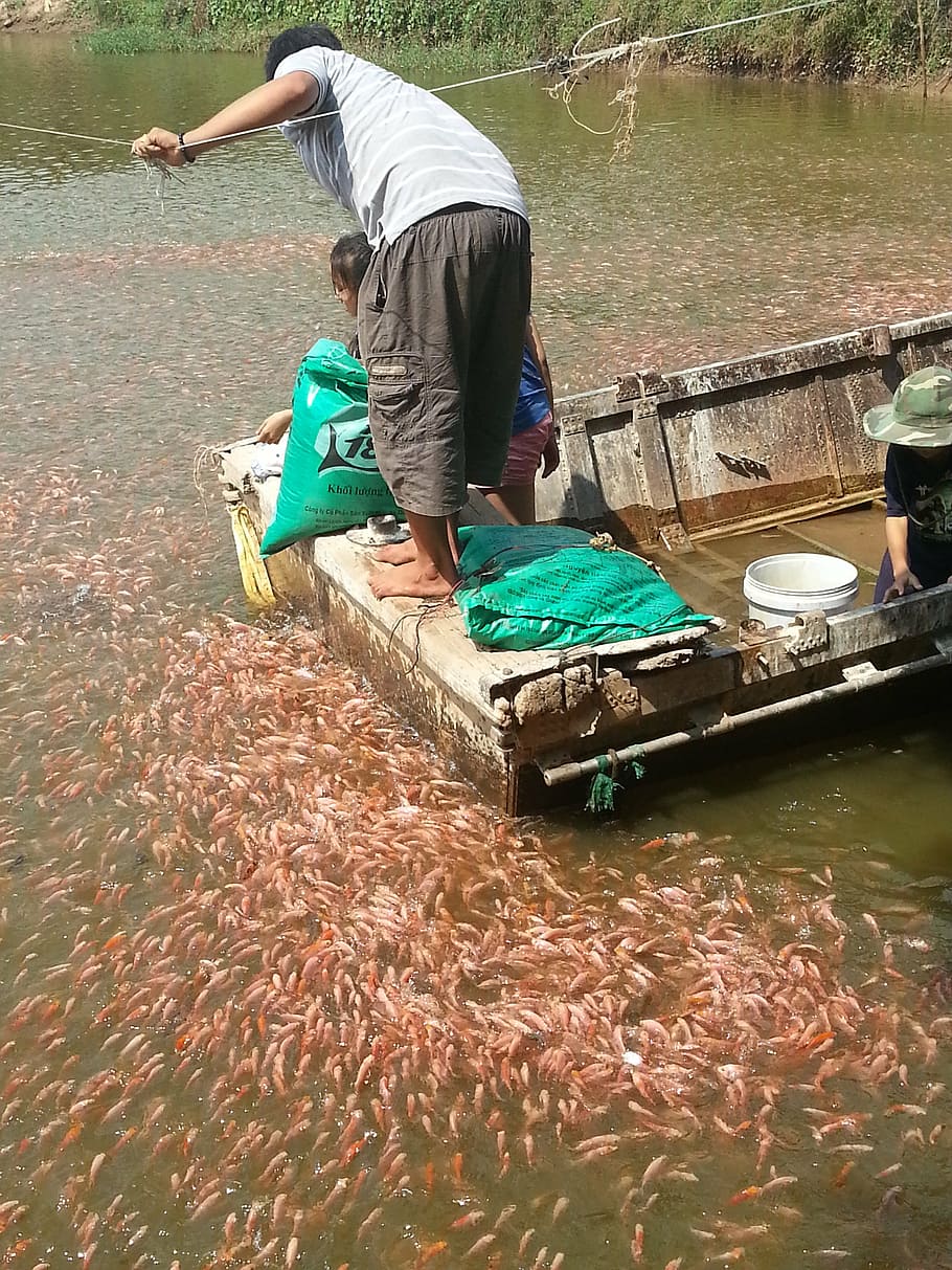 Fed fishing. Смешные рыбы фото. Рыбак кормит рыбу. Что подают к рыбе. Человек кормит рыбу.