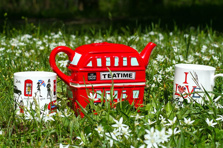 tea time, outdoor, cup, kettle, red, plant, grass, no people HD wallpaper