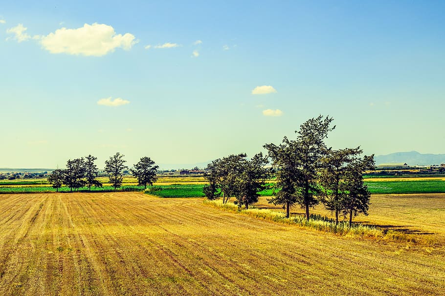 HD wallpaper: landscape, rural, countryside, field, trees, agriculture