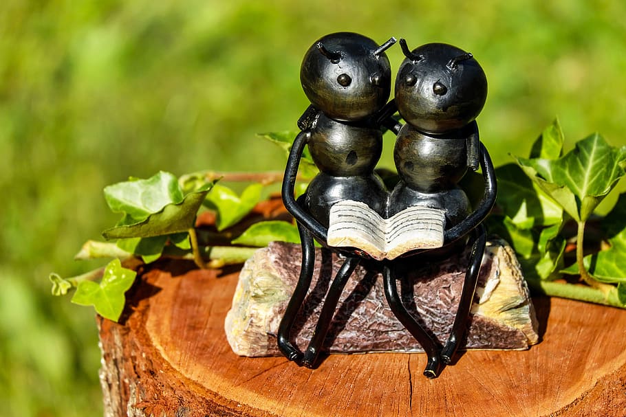 Shallow Focus Photography of Couple Ants Holding Book Figurine HD wallpaper