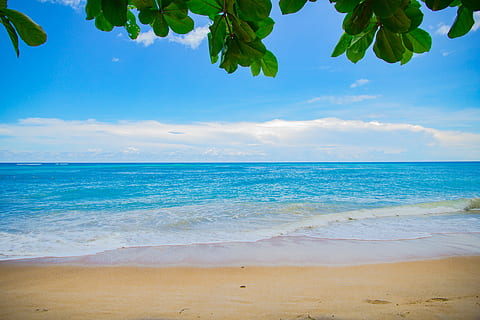 HD wallpaper: blue sea water and with brown sand, body of water,  illustration | Wallpaper Flare