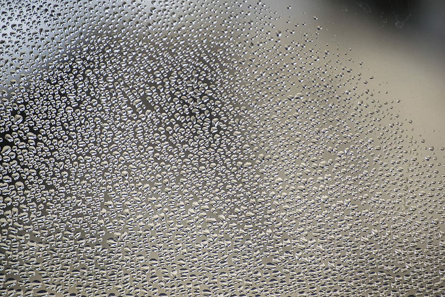 Drops, Window, Water, Glass, Wet, rain, house, droplets, textured HD wallpaper