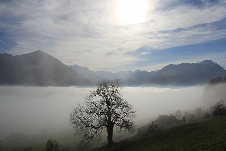mountains, clouds, sky, landscape, fog, lucerne, idyll, beauty in nature HD wallpaper