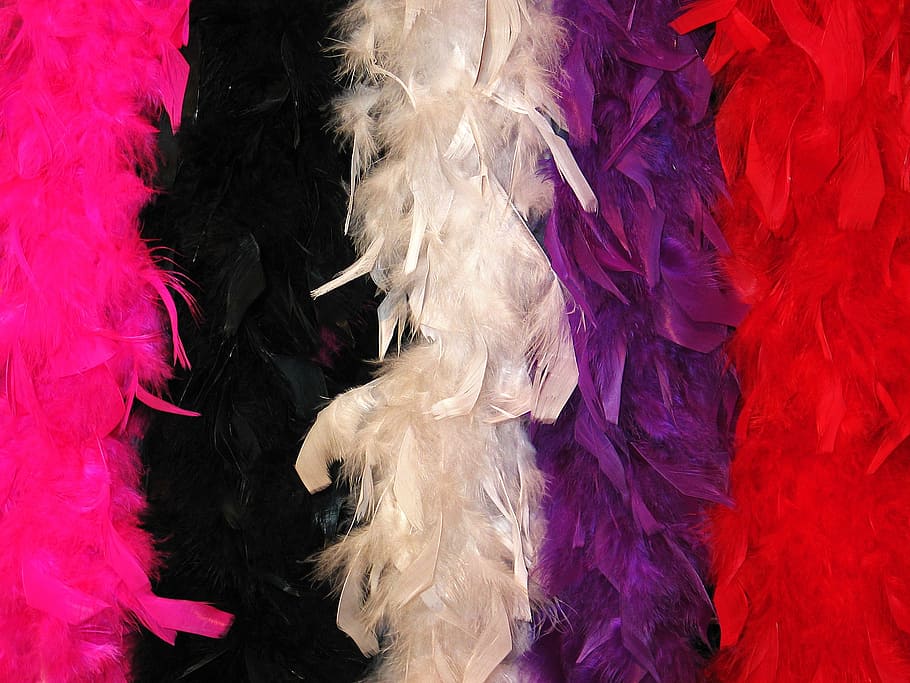stoles, carnival stoles, feather shawl, costume, panel, colorful