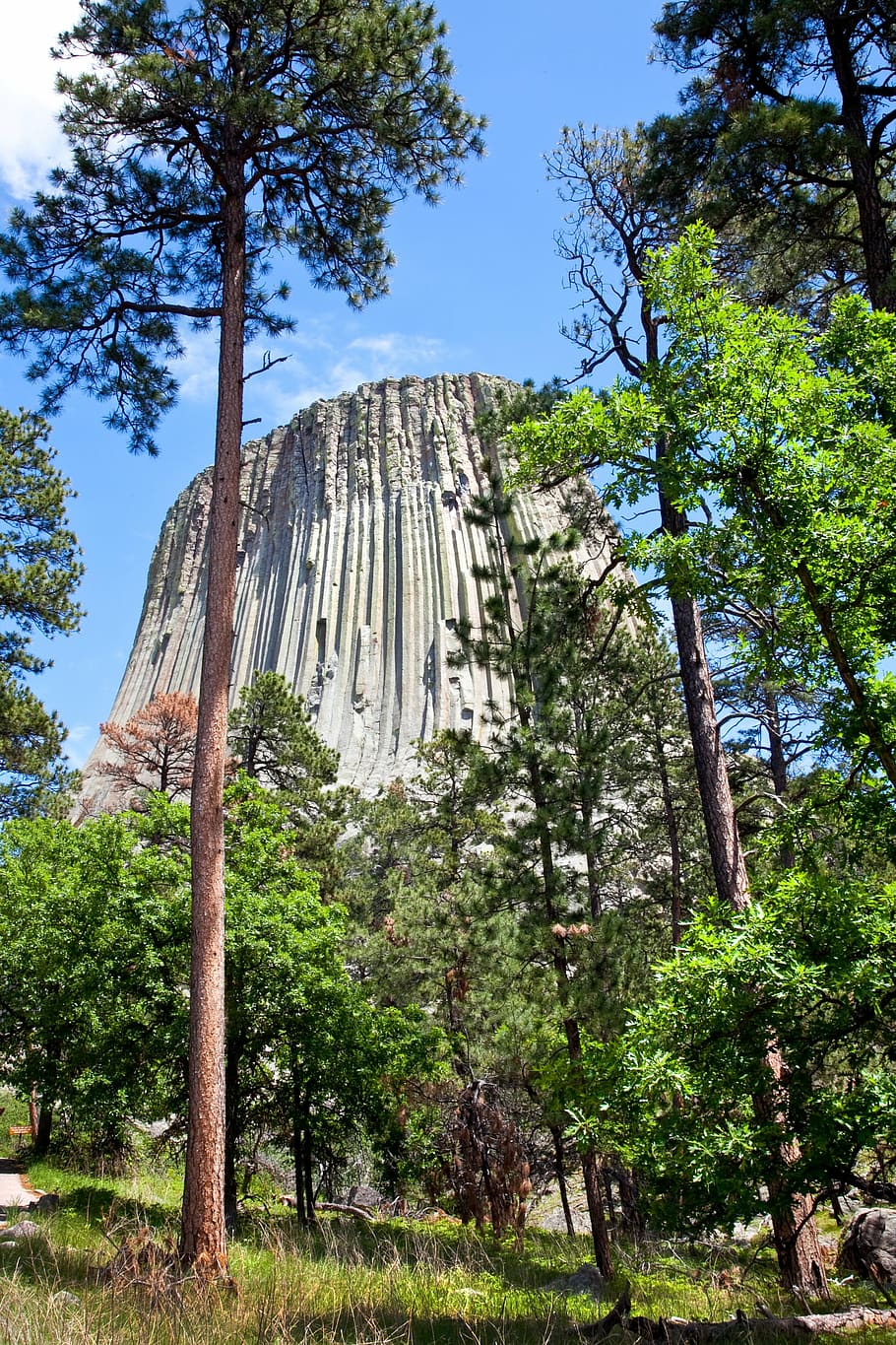 devils tower, wyoming, monument, national, stone, monolith HD wallpaper