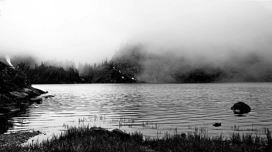 1080x2340px | free download | HD wallpaper: Gray Scale Body of Water ...