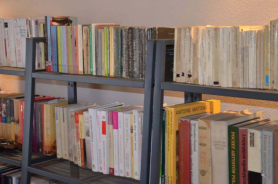 book, bookworm, shelf, bookshelf, publication, order, choice HD wallpaper