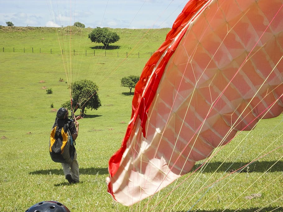 paragliding, flight, plant, grass, nature, day, field, real people HD wallpaper