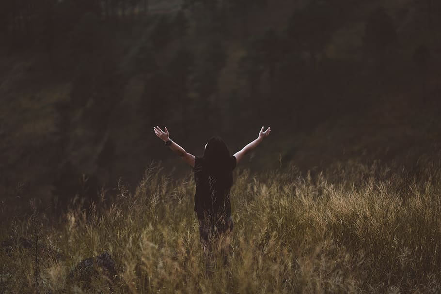 man raising arms between greenfield, person wearing black t-shirt HD wallpaper