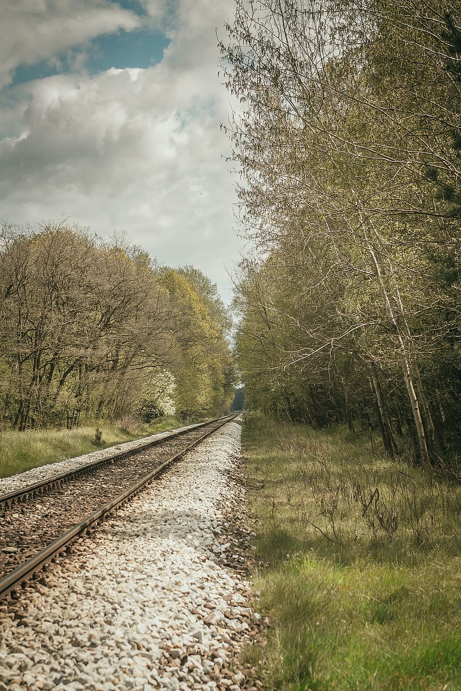 Tracks, Tree, Traction, Transport, earthwork, railroad tracks HD wallpaper
