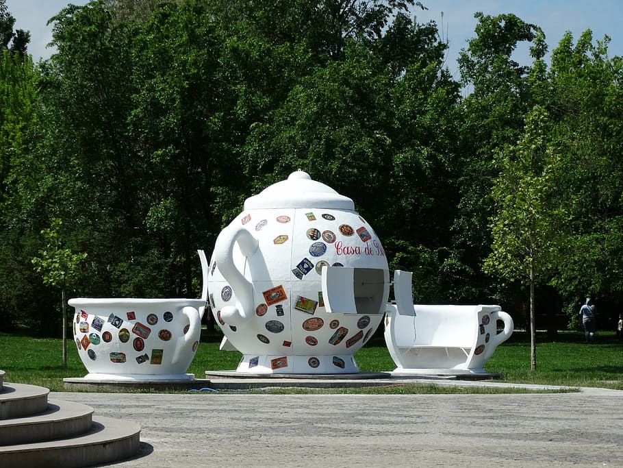 tea, kettle, cup, park, bucharest, ior, plant, tree, green color HD wallpaper