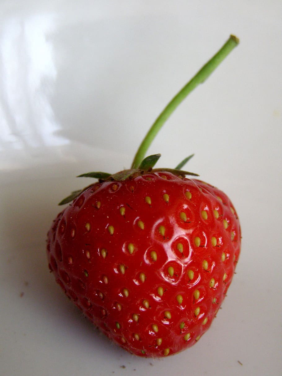 Strawberry, Fruit, Sweet, summer, red, nature, plant, natural HD wallpaper