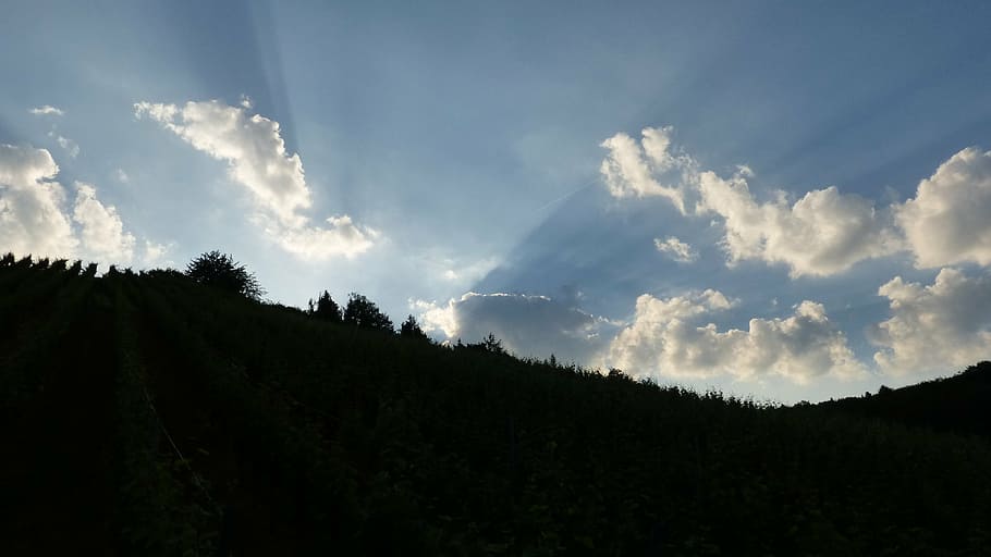 nature, landscape, sky, clouds, mood, sun, cloud - sky, tree HD wallpaper