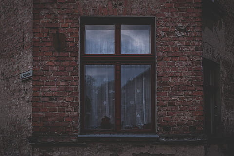 brown wooden window with glass panel, brick, architecture, abandoned HD wallpaper