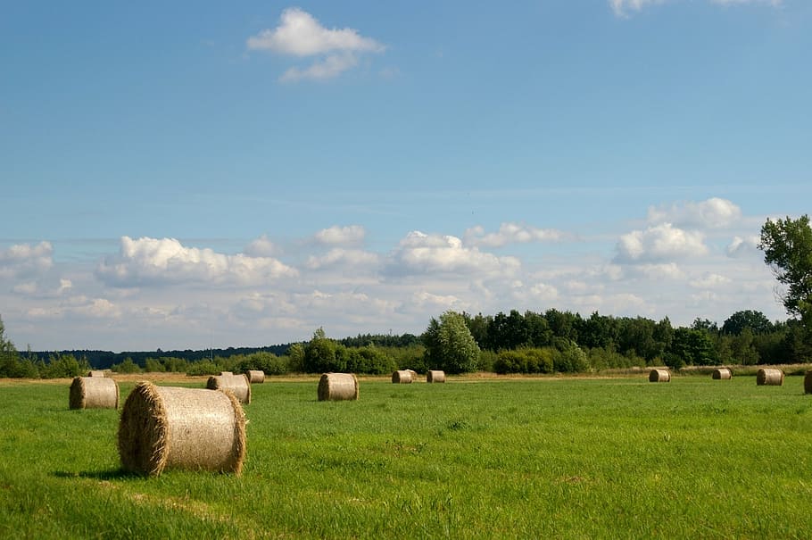 hay, beams, rolls, summer, landscape, nature, clouds, sky, blue HD wallpaper