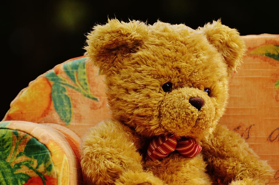 bear, sofa, bears, sweet, cute, plush, teddy, funny, cozy, chill out HD wallpaper