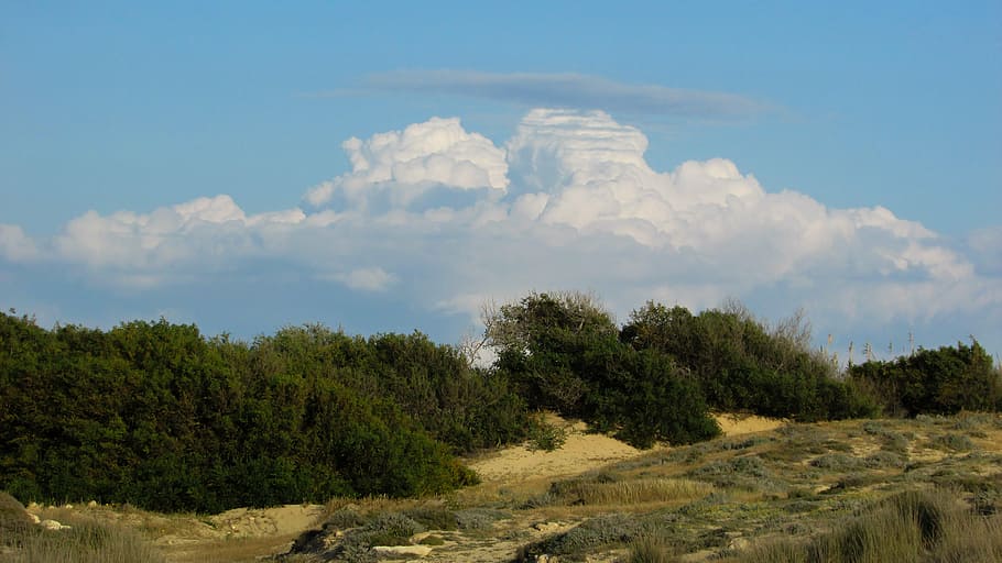 vegetation, mediterranean, countryside, spring, sky, clouds HD wallpaper
