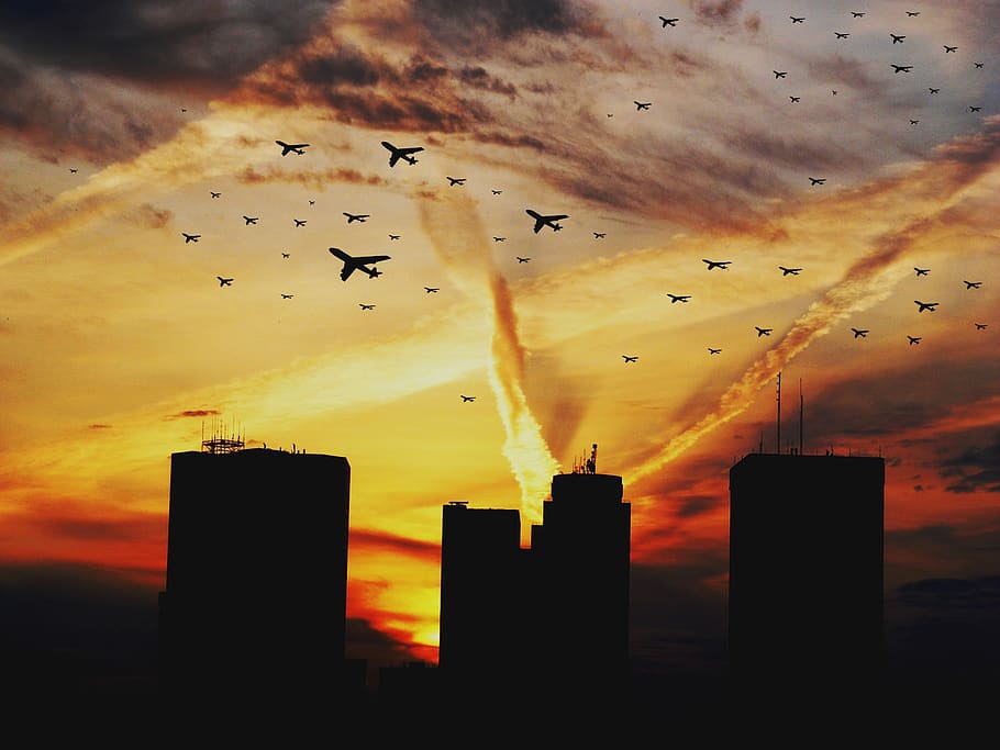 sky, sunset, dawn, panoramic, war, planes, group of animals HD wallpaper