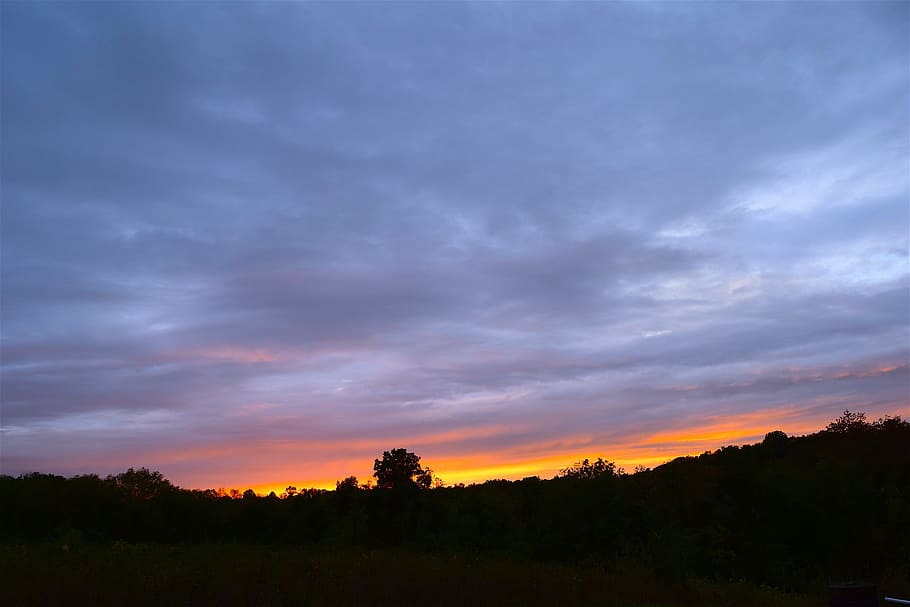 sunset, sky, trees, silhouette, nature, landscape, clouds, summer HD wallpaper